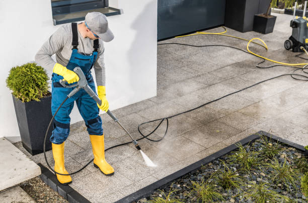 Best Pressure Washing Driveway  in Williamsport, MD