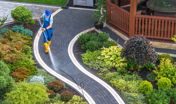 Best Concrete Pressure Washing  in Williamsport, MD
